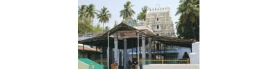 246. திருவல்லம்